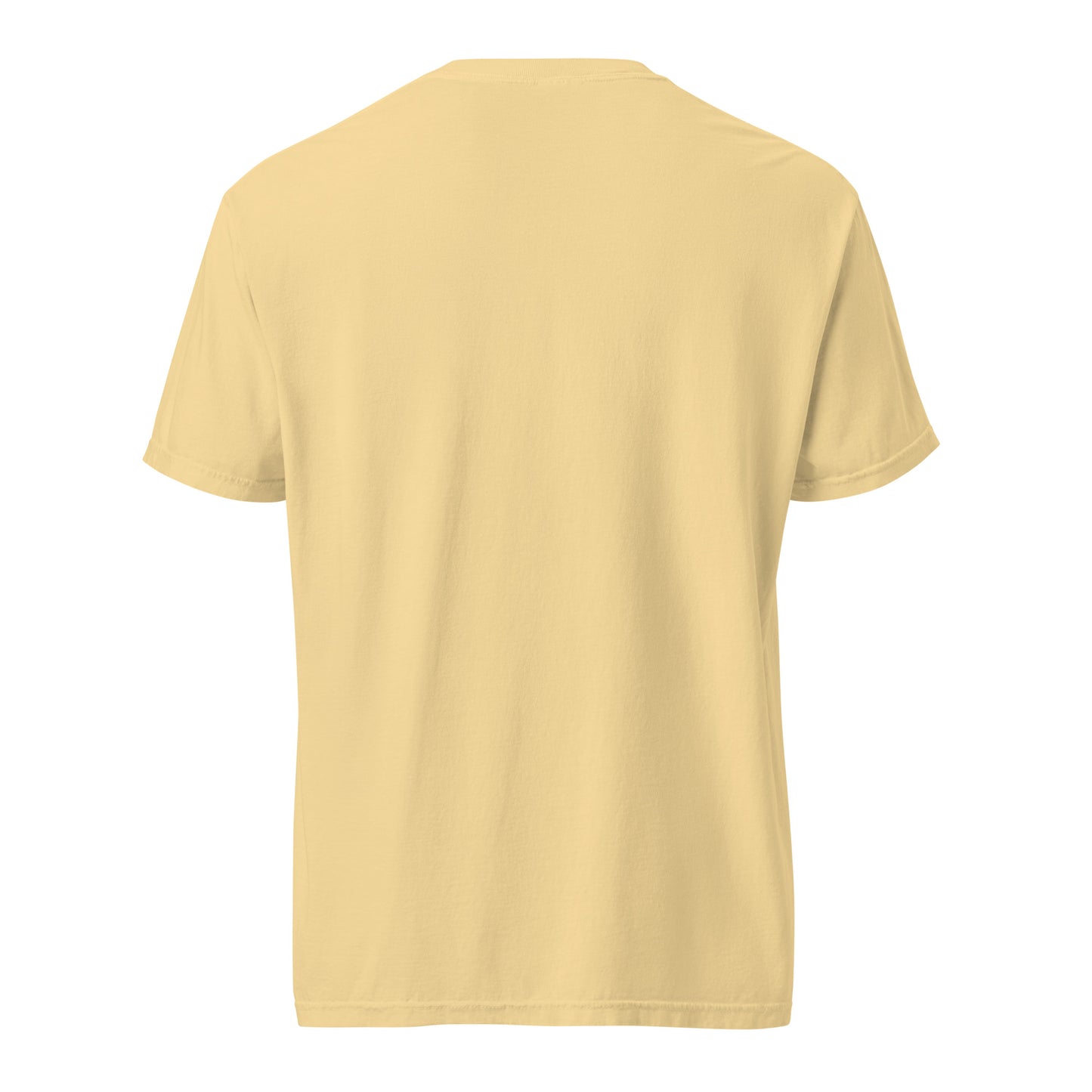 YL Unisex garment-dyed heavyweight t-shirt