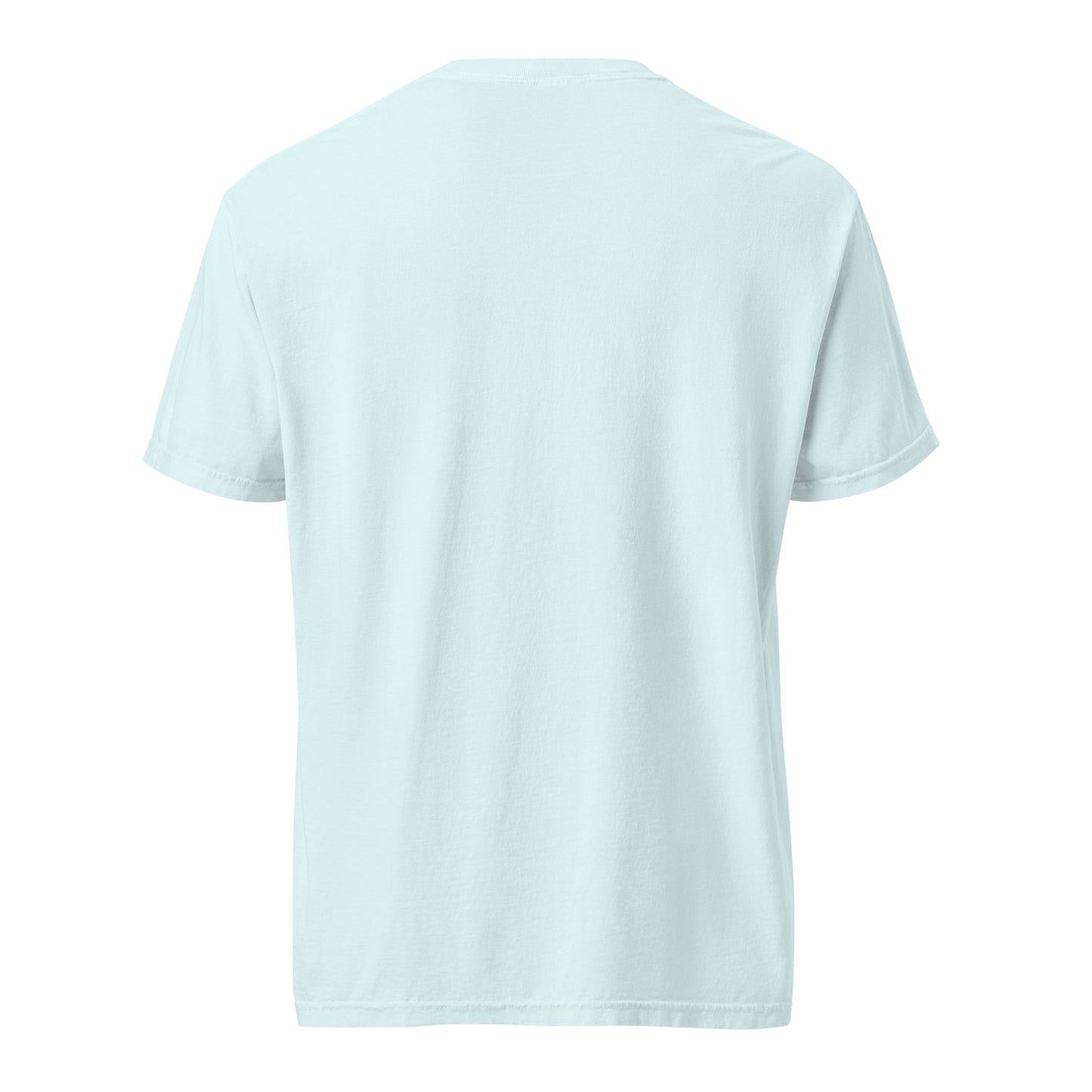 YL Unisex garment-dyed heavyweight t-shirt