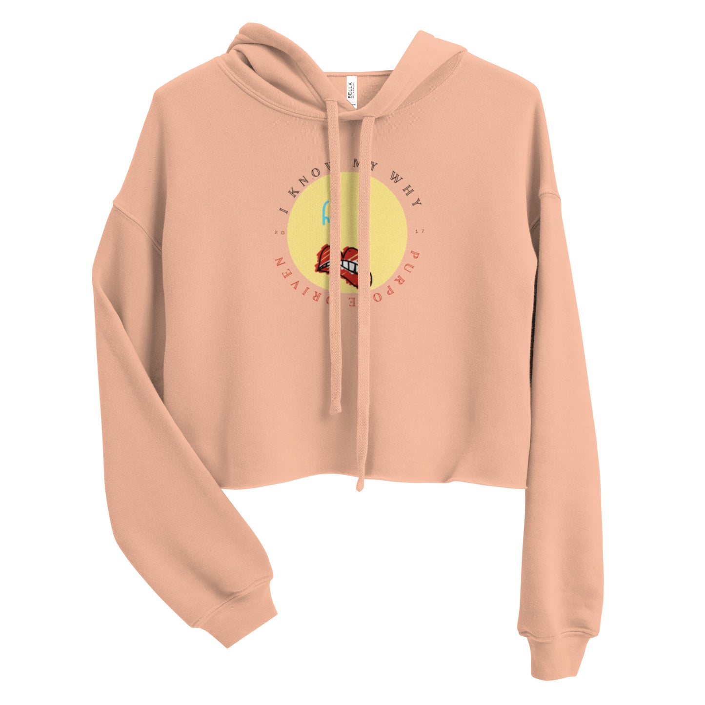 Reasons "Why" Crop Hoodie